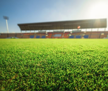 Quote Sports Insurance - Sports Club Insurance
